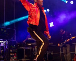 Kasteeltuin concerten in Helmond 2024